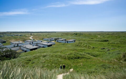Ingomar - 300M from the Sea: Herbe, Prairie, Écorégion, Plaine, Lot Terre, Paysage, Communauté Des Plantes, Prairie, Steppe, Pâturage