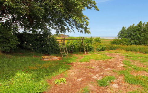 Hane - 150M from the Sea: Herbe, Vert, Végétation, Paysage Naturel, Prairie, Plaine, Lot Terre, Zone Rurale, Communauté Des Plantes