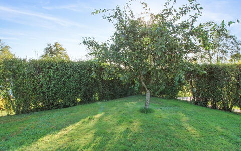Simjanka - 600M from the Sea: Toit, Maison, Domicile, Chalet, Siding, Biens, Allée, Batiments Jardin, Cour, Cabanon