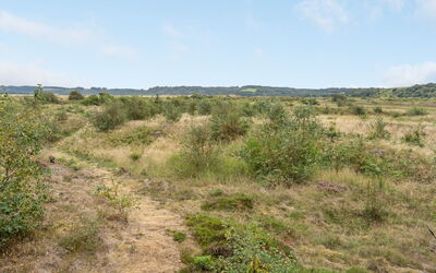 Waldar - 900M from the Sea