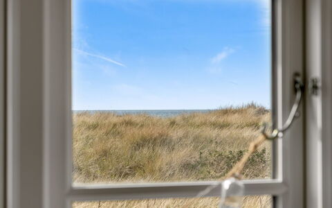 Stintje - 20M from the Sea: Bâtiment, Maison, Fenêtre, Domicile, Toit, Zone Résidentielle, Arbuste, Chalet, Lot Terre
