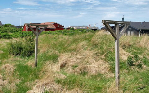 Zafirka - 364M from the Sea: Herbe, Vert, Prairie, Communauté Des Plantes, Écorégion, Lot Terre, Prairie, Plaine, Zone Rurale