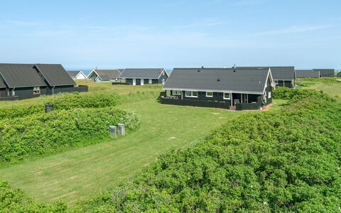 Ananda - 245M from the Sea: Communauté Des Plantes, Lumière Du Soleil, Plante Herbacée, Jardin, Plantation, Agriculture, Ferme