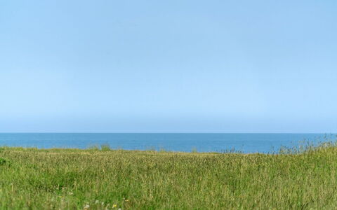 Ananda - 245M from the Sea: Bois, Toit, Maison, Chalet, Porte, Domicile, Siding, Lot Terre, Batiments Jardin, Cabanon