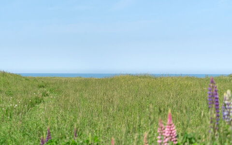 Ananda - 245M from the Sea: Bois, Toit, Maison, Chalet, Porte, Domicile, Siding, Lot Terre, Batiments Jardin, Cabanon