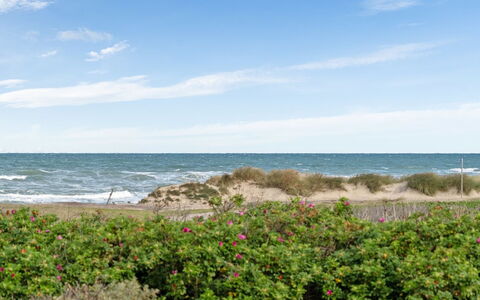 Miroslava - 140M from the Sea: 