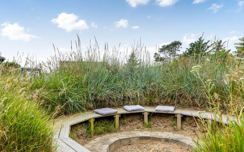 Albert - 340M from the Sea: Arbuste, Communauté Des Plantes, Lot Terre, Couverture De Sol, Jardin, Formations Arbustives, Prairie, Prairie, Plante Herbacée