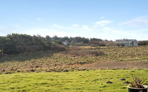 Ailika - 300M from the Sea: Ciel, Herbe, Végétation, Prairie, Arbuste, Plaine, Écorégion, Lot Terre, Communauté Des Plantes