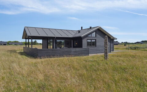 Fader - 950M from the Sea: Végétation, Arbuste, Printemps, Chalet, Jardin, Ombre, Arrière-Cour, Cour, Chaise