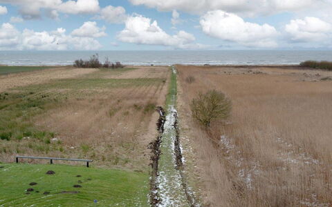 Gonda - 500M from the Sea: Toit, Maison, Domicile, Chalet, Siding, Biens, Allée, Batiments Jardin, Cour, Cabanon