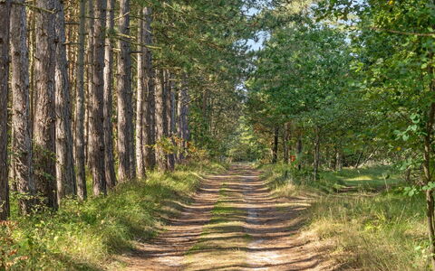 Beatrix - 700M from the Sea: Bois, Domicile, Porche, Plate-Forme, Dur, Toit, Tache De Bois, Parquet, Eco Hôtel