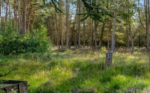Bernadine - 350M from the Sea: Bois, Domicile, Porche, Plate-Forme, Dur, Toit, Tache De Bois, Parquet, Eco Hôtel