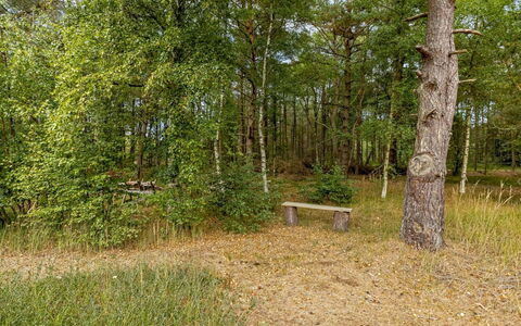 Helmtrud - 500M from the Sea: Feuille, Arbre, Environnement Naturel, Herbe, Bois, Végétation, Paysage Naturel, Forêt, Communauté Des Plantes, Tronc