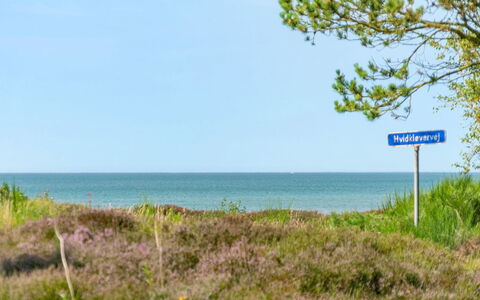Wimar - 200M from the Sea: Bois, Domicile, Porche, Plate-Forme, Dur, Toit, Tache De Bois, Parquet, Eco Hôtel