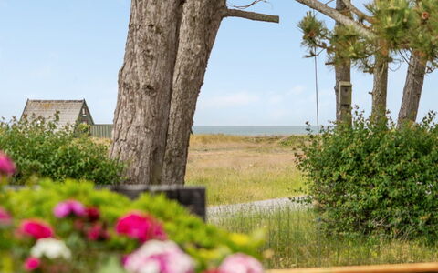 Eivi - 150M from the Sea: Chalet, Cabanon, Cabane, Ferme, Prairie, Cabane, Grange, Cabane En Rondins, Batiments Jardin