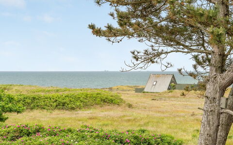 Eivi - 150M from the Sea: Chalet, Cabanon, Cabane, Ferme, Prairie, Cabane, Grange, Cabane En Rondins, Batiments Jardin