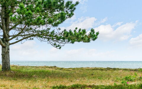 Djuna - 200M from the Sea: 