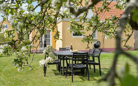 Ater - 800M from the Sea: Meubles, Vert, Chaise, Mobilier De Jardin, Arbuste, Table, Jardin, Tableau De Plein Air, Lot Terre