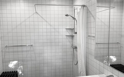 Iadrik - 85M to the Fjord: Luminaire Plomberie, Salle De Bains, Plomberie, Design Intérieur, Sol, Sol, Douche, Tuile, Robinet, Tete De Douche