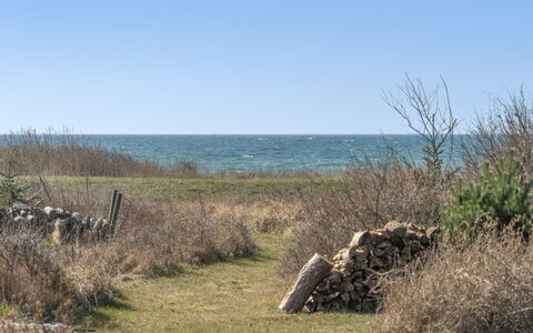 Malte - 75M from the Sea: Herbe, Arbuste, Maison, Jardin, Domicile, Chalet, Lot Terre, Pelouse, Couverture De Sol