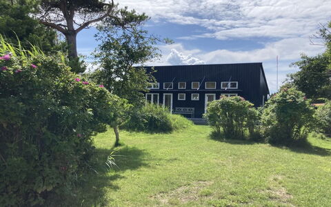 Malte - 75M from the Sea: Herbe, Arbuste, Maison, Jardin, Domicile, Chalet, Lot Terre, Pelouse, Couverture De Sol