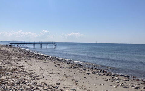 Malte - 75M from the Sea: Herbe, Arbuste, Maison, Jardin, Domicile, Chalet, Lot Terre, Pelouse, Couverture De Sol
