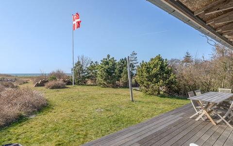 Malte - 75M from the Sea: Communauté Des Plantes, Lumière Du Soleil, Plante Herbacée, Jardin, Plantation, Agriculture, Ferme