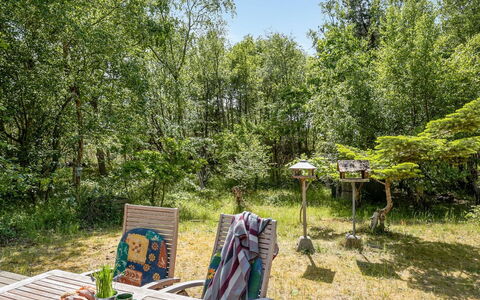 Osa - 150M from the Sea: Arbre, Végétation, Arbuste, Communauté Des Plantes, Jardin, Printemps, Tronc, Réserve Naturelle, Des Bois, Forêt