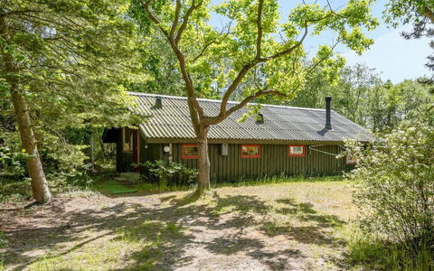 Osa - 150M from the Sea: Arbre, Feuille, Bois, Maison, Chalet, Arbuste, Toit, Domicile, Zone Rurale