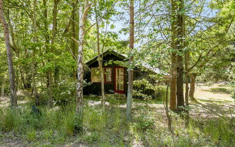 Osa - 150M from the Sea: Arbre, Environnement Naturel, La Nature, Feuille, Bois, Branche, Végétation, Chalet, Forêt, Des Bois
