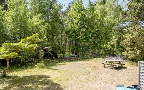 Osa - 150M from the Sea: Arbuste, Communauté Des Plantes, Printemps, Des Bois, Ombre, Jardin, Parc, Mobilier De Jardin, Tableau De Plein Air, Table De Pique-Nique