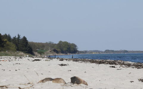 Bridgette - 100M from the Sea: Bois, Tache De Bois, Planche, Dur, Chalet, Plate-Forme, Siding, Ombre, Parquet, Batiments Jardin