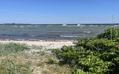 Ely - 300M from the Sea