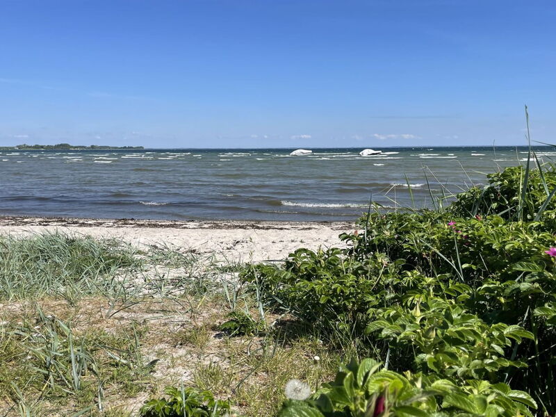 Ely - 300M from the Sea
