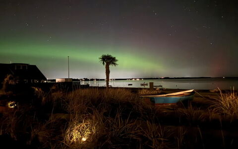 Eino - 30M from the Sea: Bois, Toit, Domicile, Maison, Architecture, Siding, Lot Terre, Chalet, Cabanon, Batiments Jardin