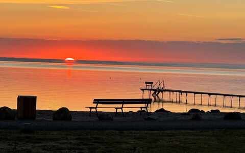 Eino - 30M from the Sea: Bois, Toit, Domicile, Maison, Architecture, Siding, Lot Terre, Chalet, Cabanon, Batiments Jardin