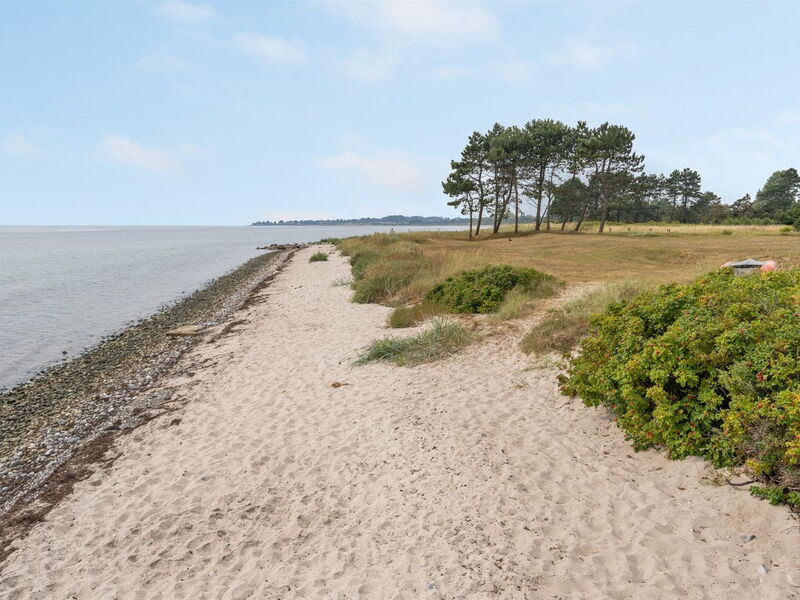 Cathalina - 75M from the Sea
