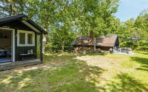 Alika - 200M to the Fjord: Toit, Cabanon, Chalet, Batiments Jardin, Siding, Dur
