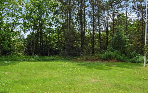 Annlouise - 300M from the Sea: Feuille, Herbe, Arbre, Vert, Environnement Naturel, Prairie, Arbuste, Lot Terre, Tronc