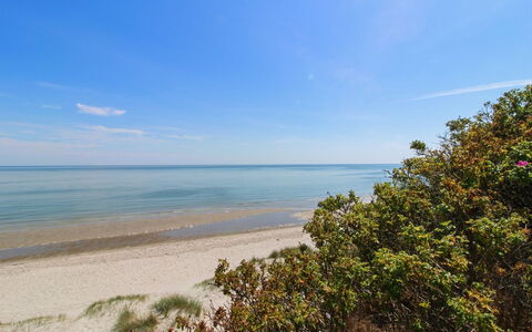 Edmer - 50M from the Sea: Toit, Maison, Domicile, Chalet, Siding, Biens, Allée, Batiments Jardin, Cour, Cabanon