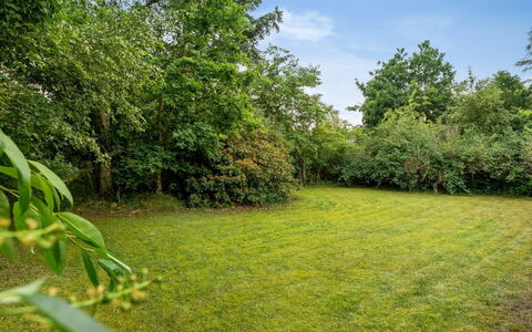 Raya - 250M from the Sea: Vert, Herbe, Prairie, Arbuste, Été, Plaine, Lot Terre, Jardin, Prairie