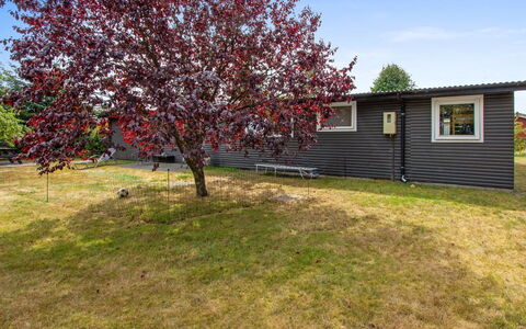 Svend - 1.5Km from the Sea: Couverture De Sol, Printemps, Pelouse, Cour, Jardin, Arrière-Cour, Parc