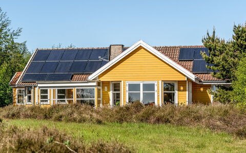 Annestine - 200M from the Sea: Communauté Des Plantes, Lumière Du Soleil, Plante Herbacée, Jardin, Plantation, Agriculture, Ferme