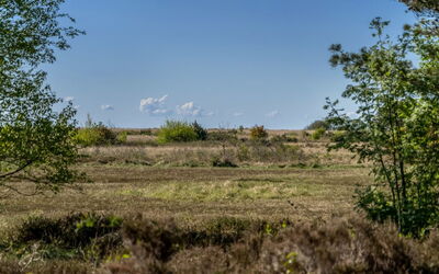 Annestine - 200M from the Sea
