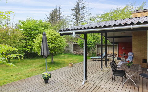 Leif - 550M from the Sea: Communauté Des Plantes, Lumière Du Soleil, Plante Herbacée, Jardin, Plantation, Agriculture, Ferme