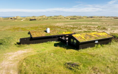 Aatu - 360M from the Sea: Toit, Maison, Domicile, Chalet, Siding, Biens, Allée, Batiments Jardin, Cour, Cabanon