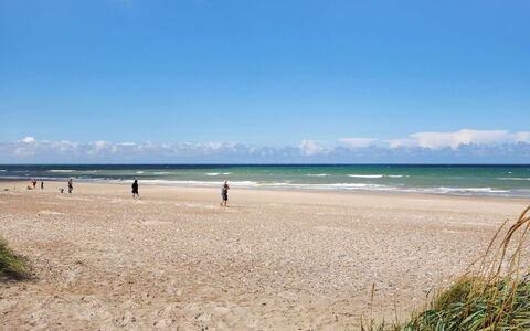 Deni - 4Km from the Sea: Domicile, Zone Résidentielle, Maison, Chalet, Toit, Lot Terre, Siding, Jardin, Biens, Pelouse