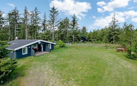 Gangulf - 150M from the Sea: Herbe, Arbuste, Maison, Lot Terre, Chalet, Domicile, Zone Rurale, Couverture De Sol, Prairie, Batiments Jardin