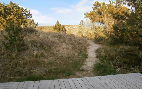 Lewe - 150M from the Sea: Bleu, Arbuste, Chalet, Couverture De Sol, Jardin, Biens, Ombre, Aménagement Paysager, Ferme, Eco Hôtel