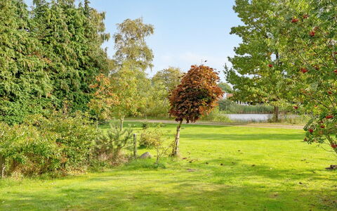 Aksa - 400M from the Sea: Feuille, Arbre, Vert, Herbe, Branche, Végétation, Arbuste, Prairie, Plaine, Lot Terre